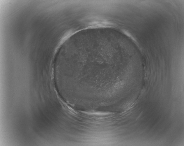 X0000061761459200512161730