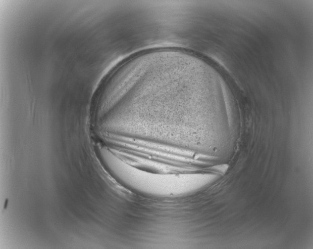 X0000061761460200512161730