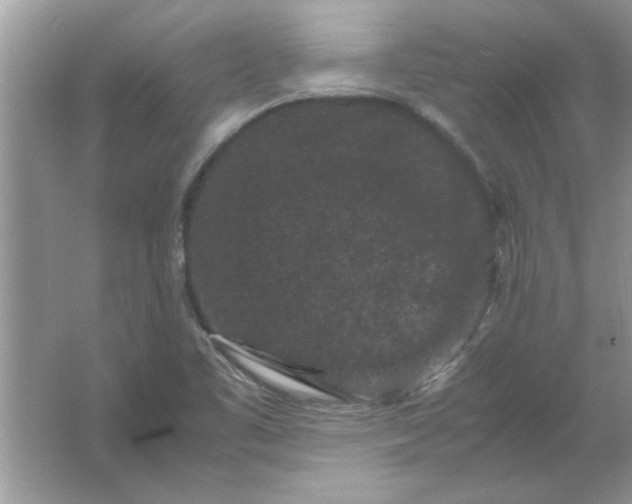 X0000061761461200512161730