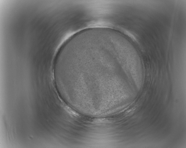 X0000061761462200512161730