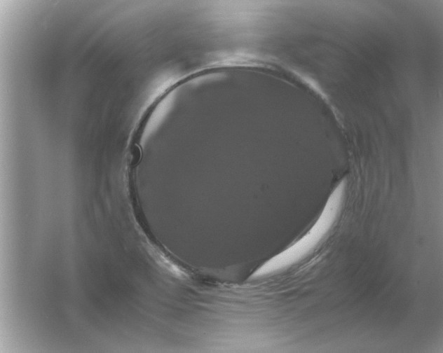 X0000061761463200512161730