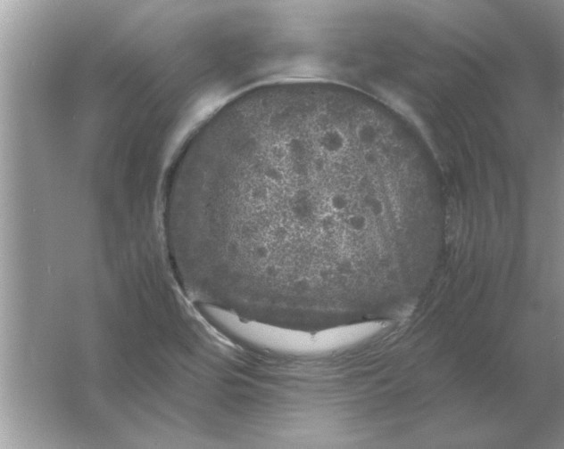 X0000061761464200512161730