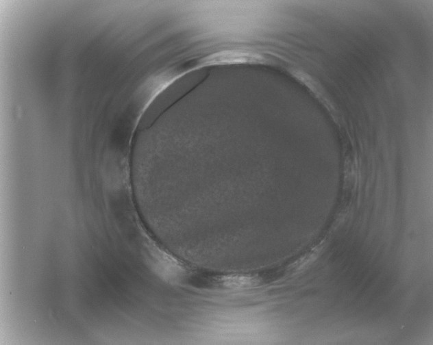 X0000061761465200512161730