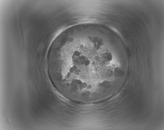 X0000061761467200512161730