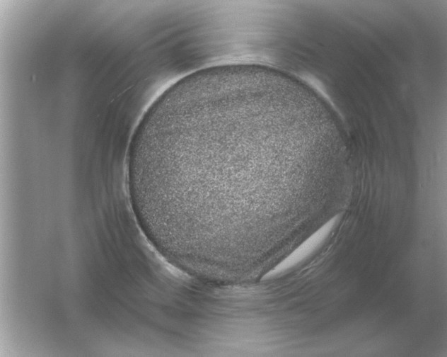 X0000061761468200512161730