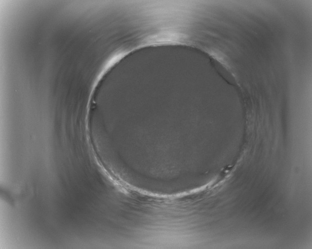 X0000061761469200512161730