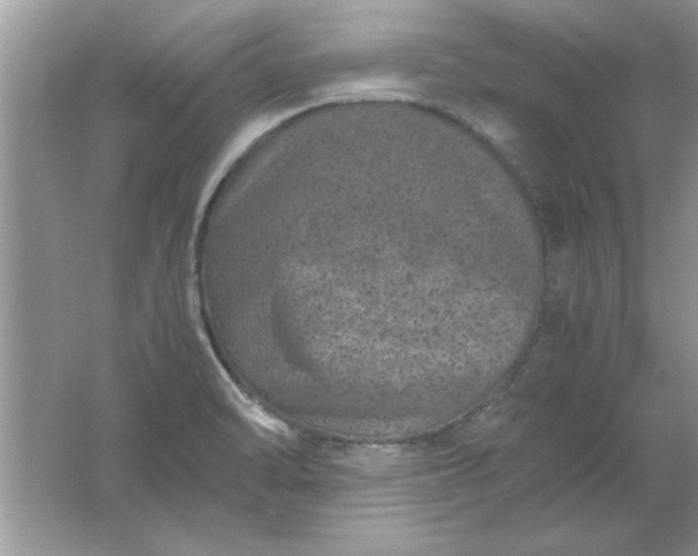 X0000061761470200512161730