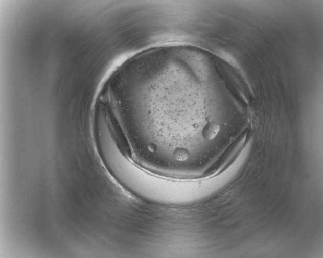 X0000061761472200512161730