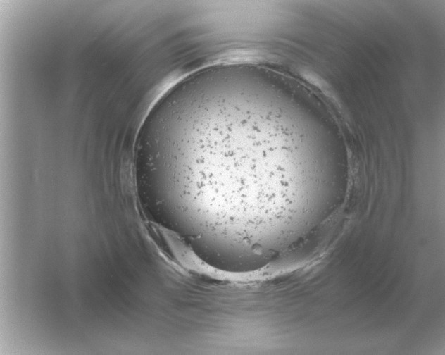 X0000061761473200512161730