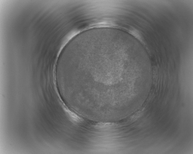 X0000061761474200512161730