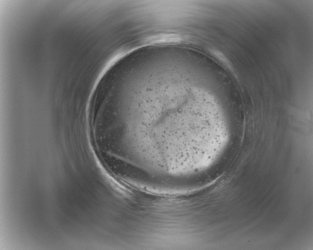 X0000061761475200512161730