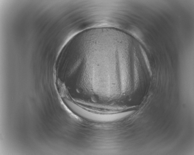 X0000061761476200512161730