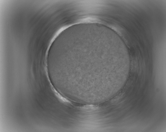 X0000061761478200512161730