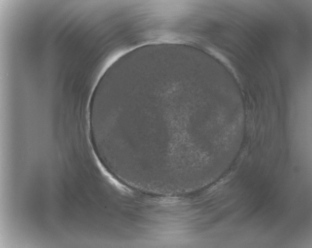 X0000061761479200512161730