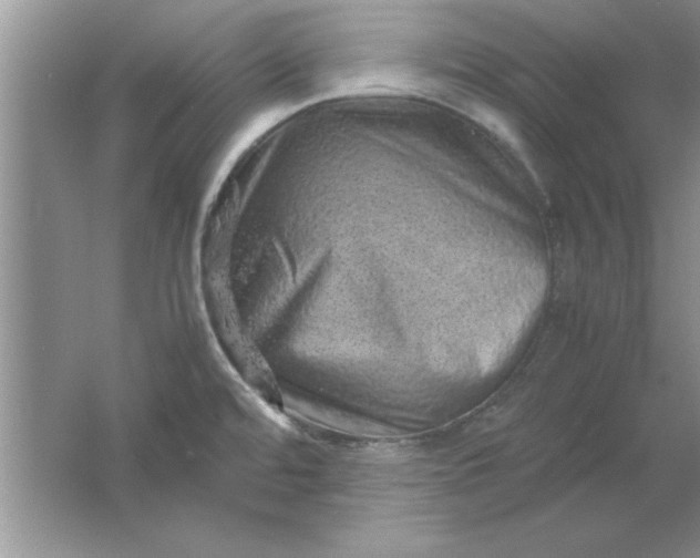 X0000061761480200512161730