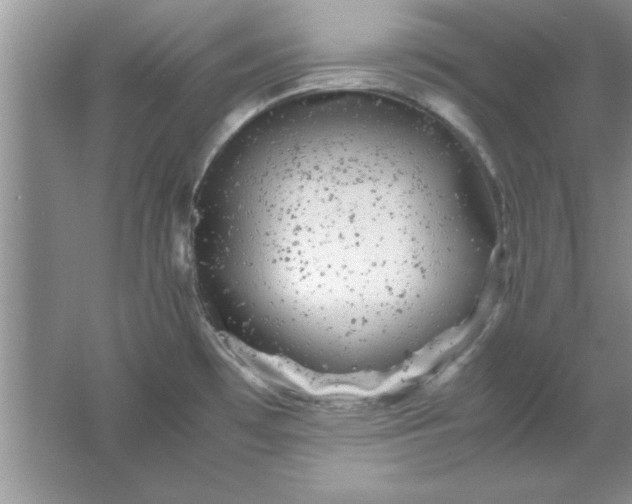 X0000061761481200512161730