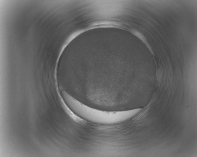 X0000061761482200512161730