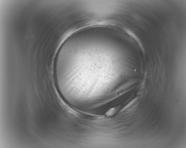 X0000061761483200512161730