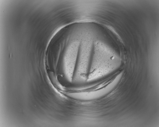 X0000061761484200512161730