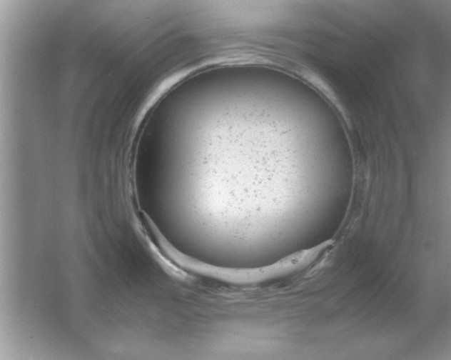 X0000061761485200512161730