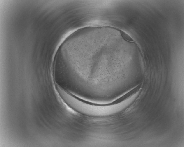 X0000061761486200512161730