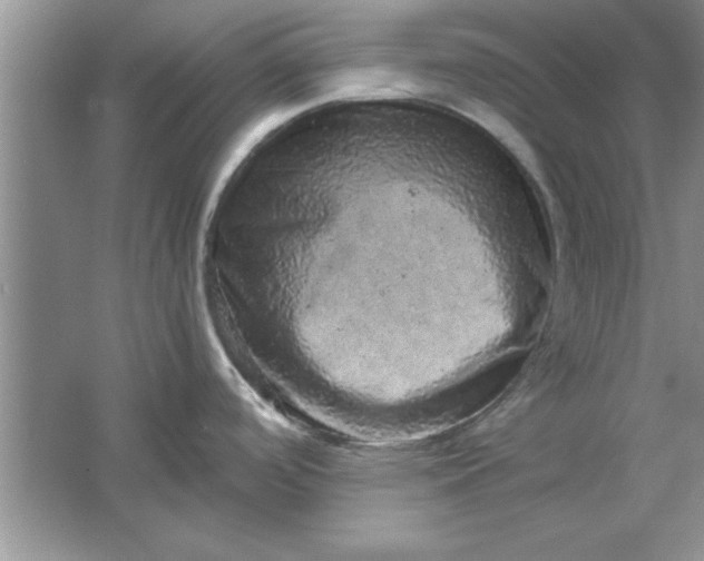 X0000061761488200512161730