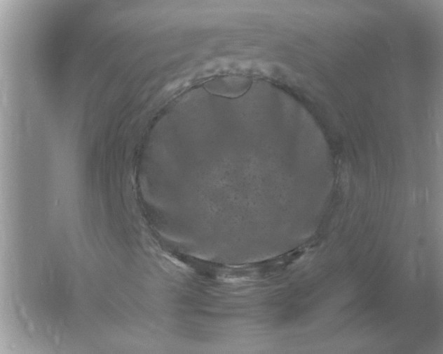 X0000061761489200512161729