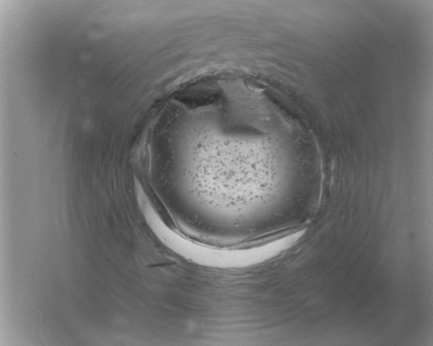 X0000061761490200512161729