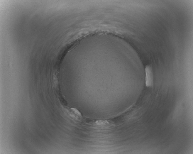 X0000061761491200512161729