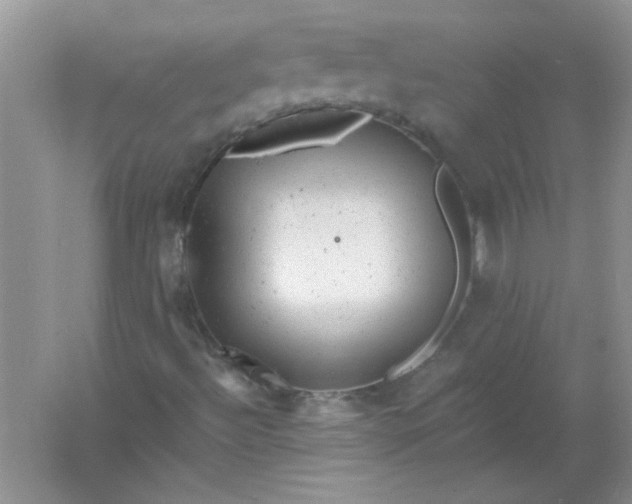 X0000061761492200512161729