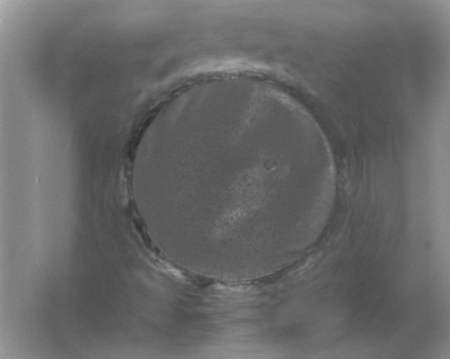 X0000061761493200512161729