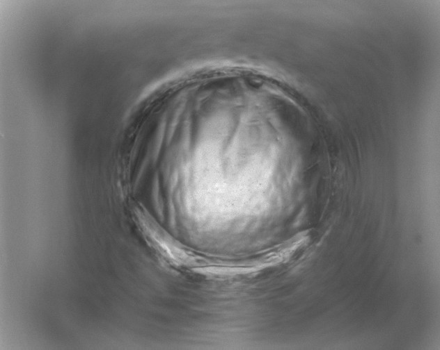 X0000061761494200512161729