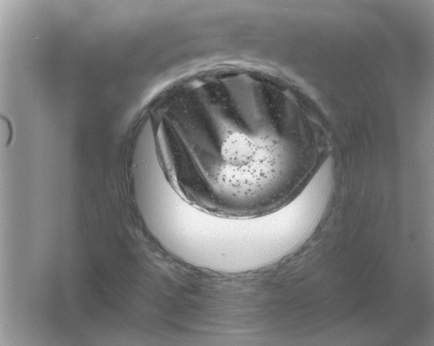 X0000061761496200512161729