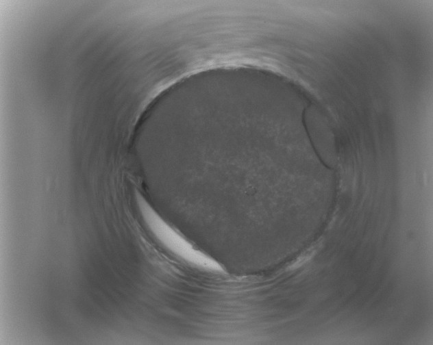 X0000061761497200512161729