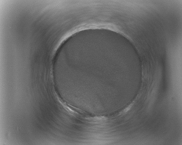 X0000061761498200512161729