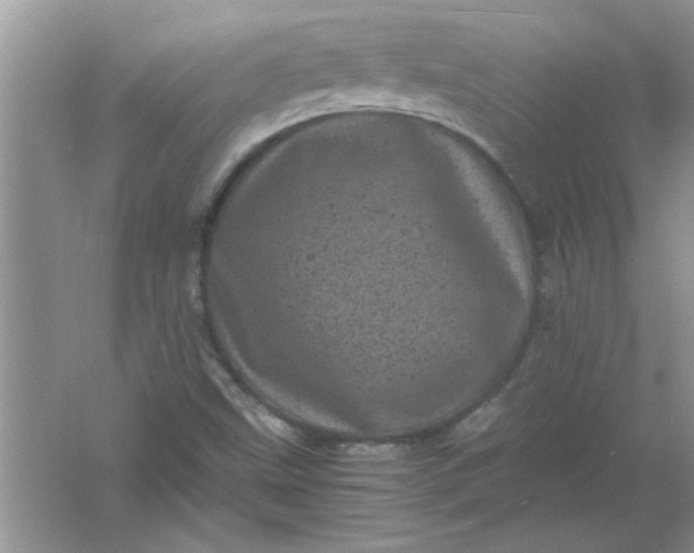 X0000061761499200512161729