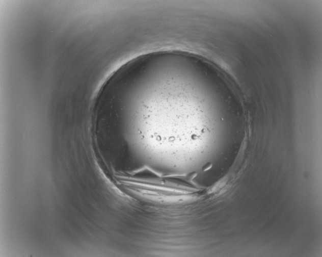 X0000061761500200512161729