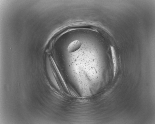 X0000061761501200512161729