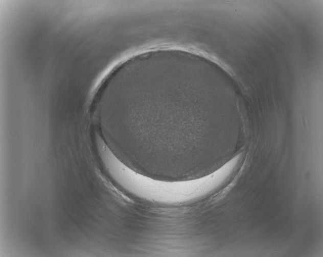 X0000061761502200512161729