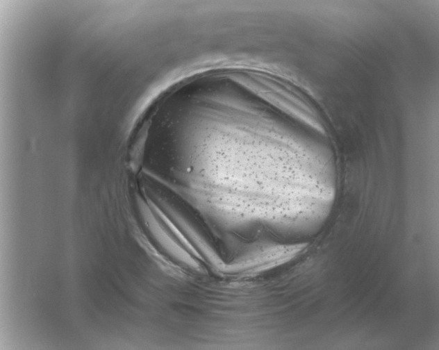 X0000061761503200512161729