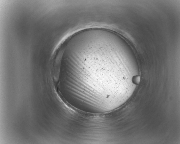 X0000061761504200512161729