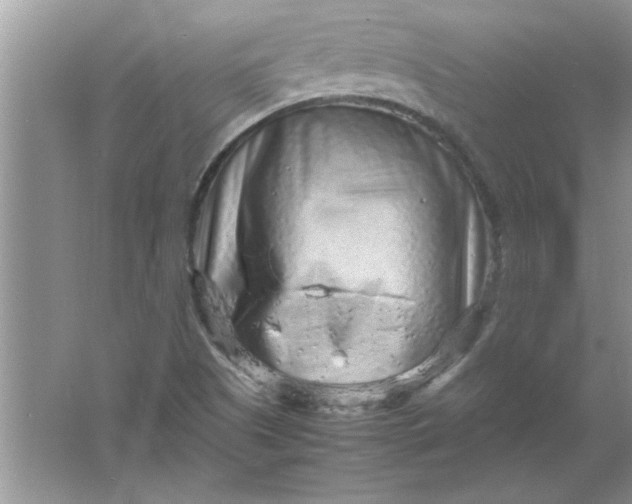 X0000061761505200512161729