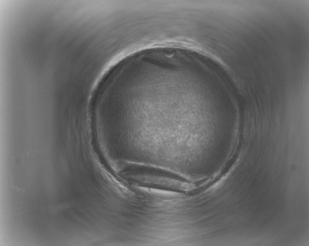 X0000061761506200512161729