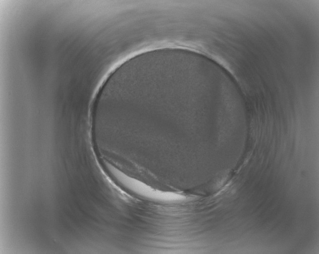 X0000061761508200512161729