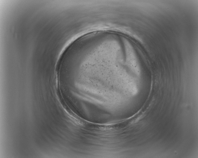 X0000061761509200512161729