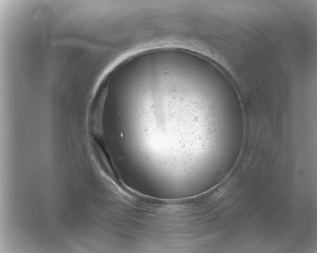 X0000061761510200512161729