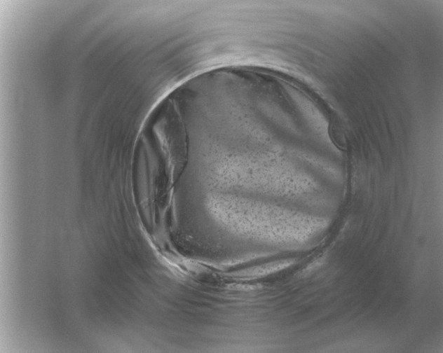 X0000061761513200512161729