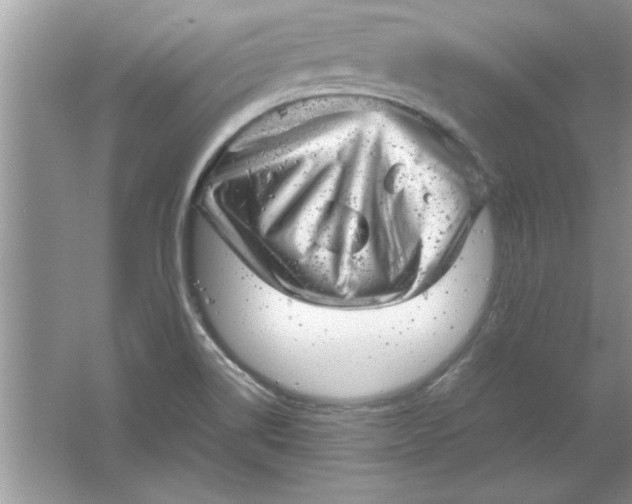 X0000061761514200512161730