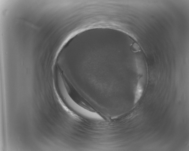 X0000061761515200512161730