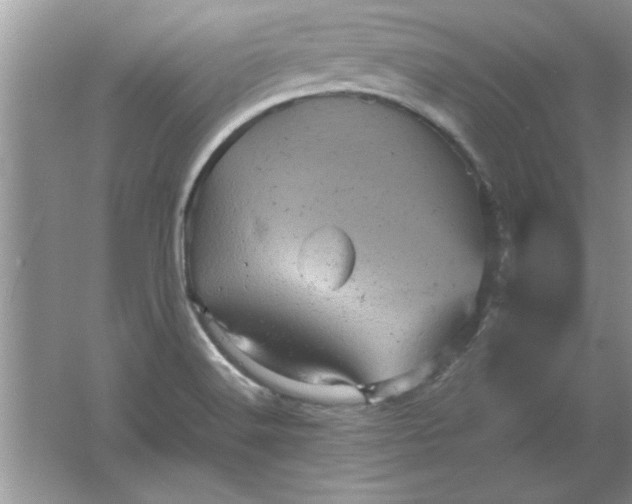 X0000061761516200512161730